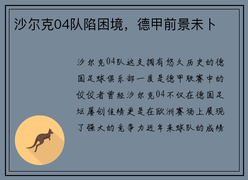 沙尔克04队陷困境，德甲前景未卜